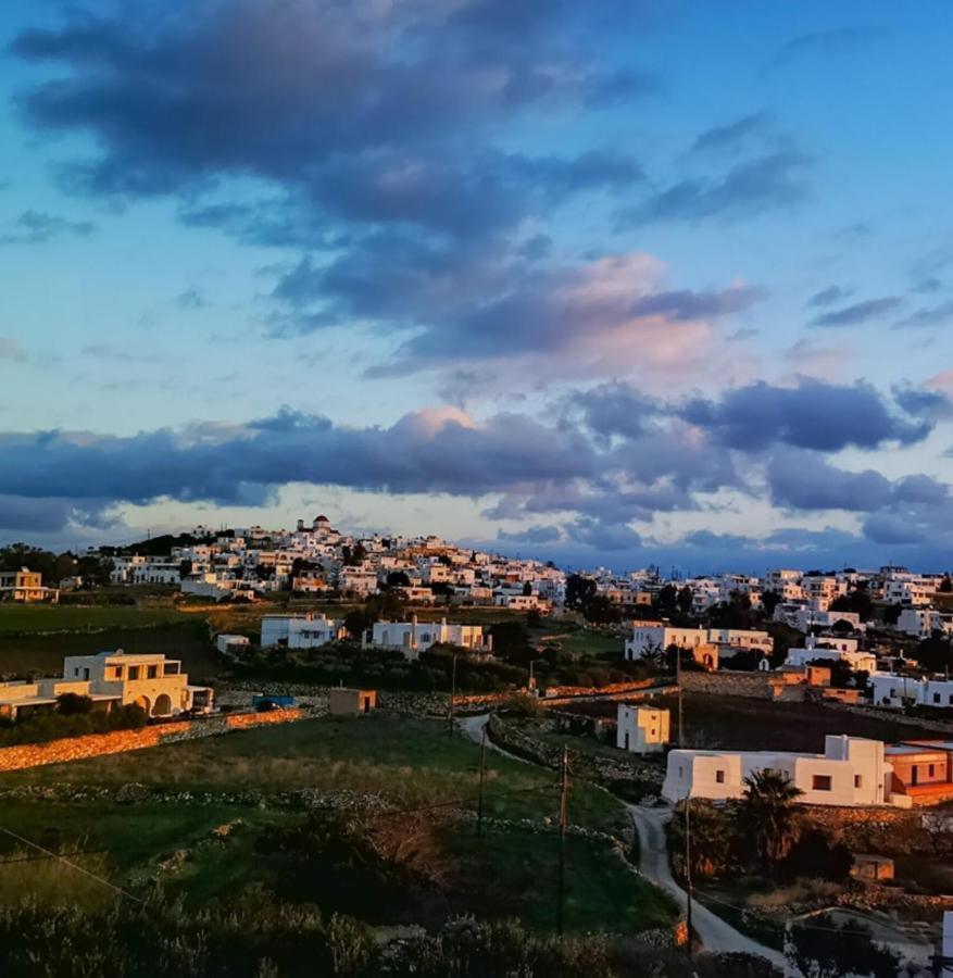 Vila Amphitrite'S Haven - Cycladic House In Marpissa, Paros Exteriér fotografie